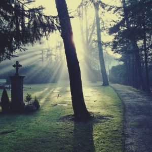 People and Pets Sharing a Cemetery?